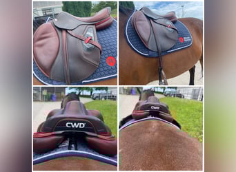 CWD 2G Carbon Sattel Springen