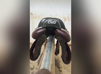 CWD Sattel gebraucht