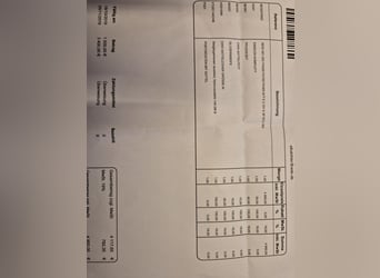 CWD SE 32 Mademoiselle 2G