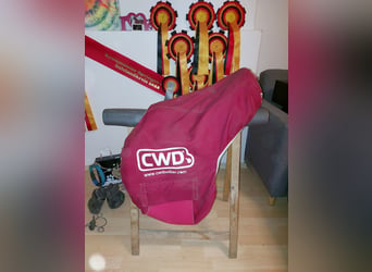 CWD Springsattel, kaum genutzt 