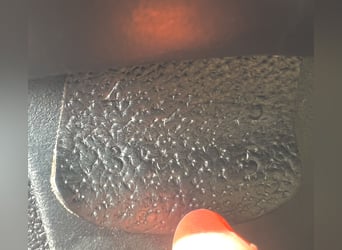 Devoucoux Springsattel schwarz Biarritz S aus 2019