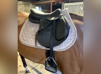 Devoucoux Springsattel schwarz Biarritz S aus 2019