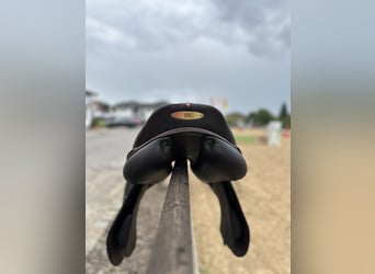 EK EVOLUTION EQUIPE SPRINGSATTEL AUS CARBON