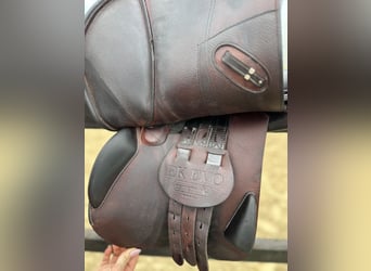 EK EVOLUTION EQUIPE SPRINGSATTEL AUS CARBON