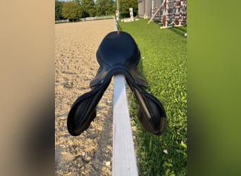 Equipe Springsattel „EK GO“ | 17,5" | Carbonbaum | Latexkissen