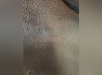 Equipe Texes Springsattel