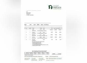 Euroriding Emilio Springsattel