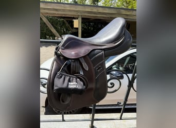 Horsestar Endeavour Braun