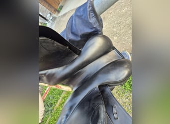 Kentaur Springsattel Charon