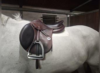 Meyer Sellerie Springsattel (ähnlich CWD /Amerigo)
