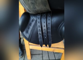 Passier Avior schwarz 17/27,5