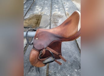 Perstige Appaloosa 18/32