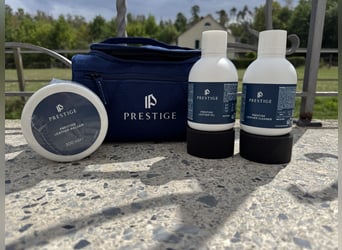 Prestige Springsattel Versailles