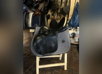 Prestige Venezia 17 32