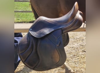 Schleese Springsattel 17"
