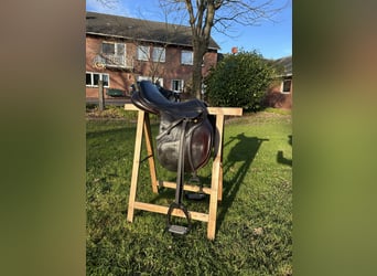 Schockemöhle Cliff Barnsby 17"