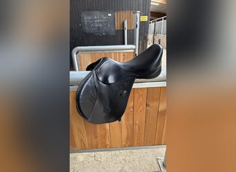 SeaBis spring Sattel 