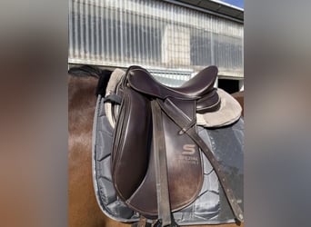Sommer Dressursattel🐎