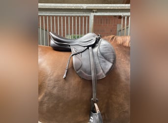 Springsattel Phoenix Elite de Luxe