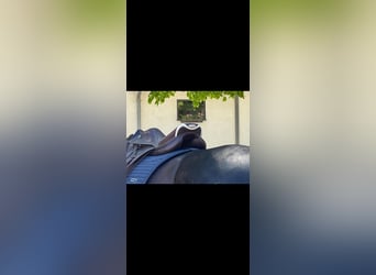 Springsattel Prestige X-Michel Robert 18/32 tabacco