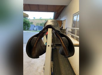 Stübben Siegfried 17“