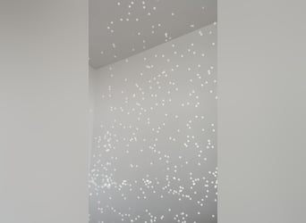 Disco Sattel - Reit Dekor - Discokugel