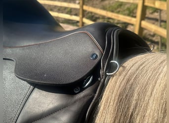 Freizeitsattel für kurze breite Pferde — 40 cm 17“ KW 35, Probeversand — VS Wanderreiten Trekking