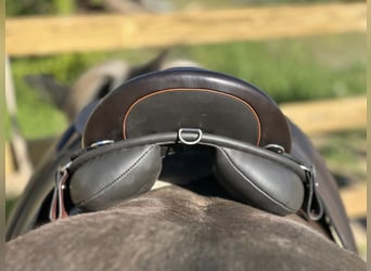 Freizeitsattel für kurze breite Pferde — 40 cm 17“ KW 35, Probeversand — VS Wanderreiten Trekking