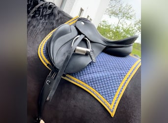 Kaltblutsattel horse&passion