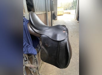 Kieffer Vielseitigkeit