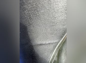 Kieffer Vielseitigkeitssattel