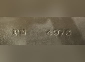 Massimo SON 2 VS Sattel mit französischen Kissen 