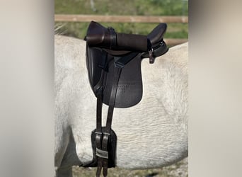 Schluss mit Rutschen! Sattel-Set für Isländer Haflinger Tinker Welsh COB und kurze breite Ponys