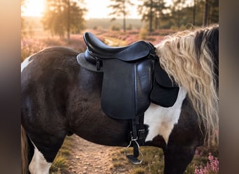Schluss mit Rutschen! Sattel-Set für Isländer Haflinger Tinker Welsh COB und kurze breite Ponys
