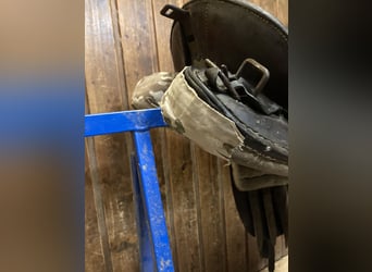 Bocksattel - Kavallerie Armeesattel - Wehrmacht englischer Sattel zu verkaufen