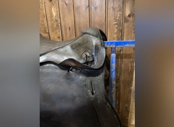 Bocksattel - Kavallerie Armeesattel - Wehrmacht englischer Sattel zu verkaufen