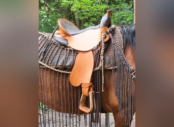 DEUBER DISTANZSATTEL "QUANTUM SHORT & LIGHT WESTERN" S1