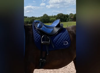 Deuber Quantum Sport S3