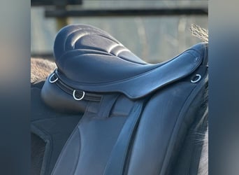 Luxus Freizeitsattel für sehr breite Pferde — 42 cm — 17,5",  KW 36, Probeversand