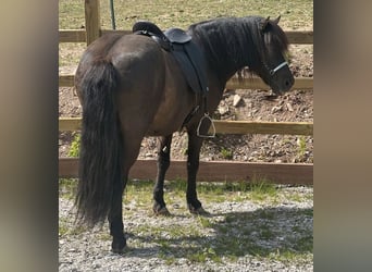 Luxus Freizeitsattel für sehr breite Pferde — 42 cm — 17,5",  KW 36, Probeversand