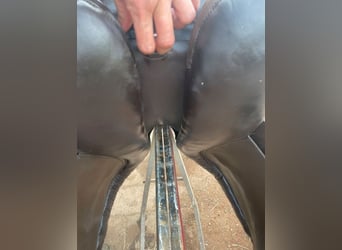 Sattel für Kaltblut / Rippsattel