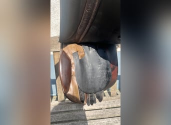 Stübben Scout | Soft Seat | Wanderreitsattel | 18" KW32 | braun