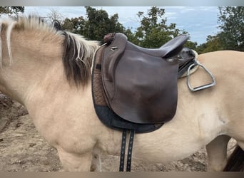 Way Out West Crossover Sattel, Wanderreiten/Dressur