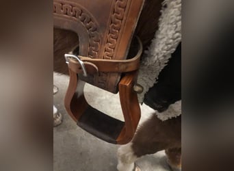 Continental Equiflex