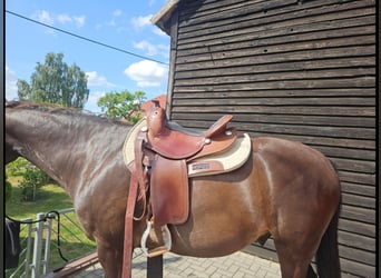 Deuber Flex Fit Vario 1028 (L-Baum, 16 Zoll Sitz)