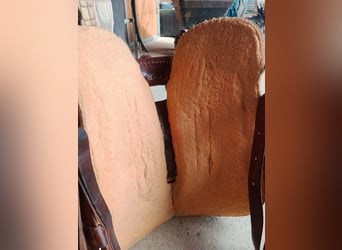 Diamond C, neuwertig 