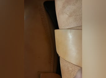 Equiflex Sattel zu verkaufen 