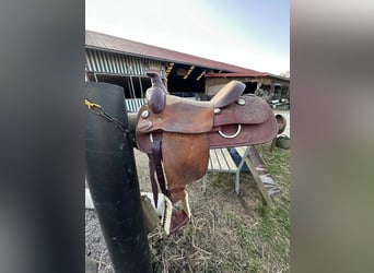 Schöner Westernsattel - Wildleder / Roping Horn