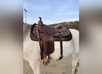 Westernsattel Deuber Reining 