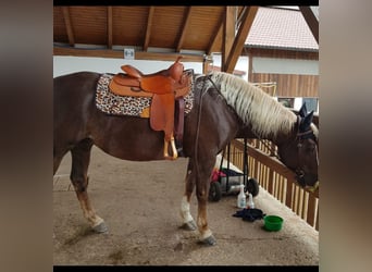 Westernsattel Gomeier Equine Designe 108-30